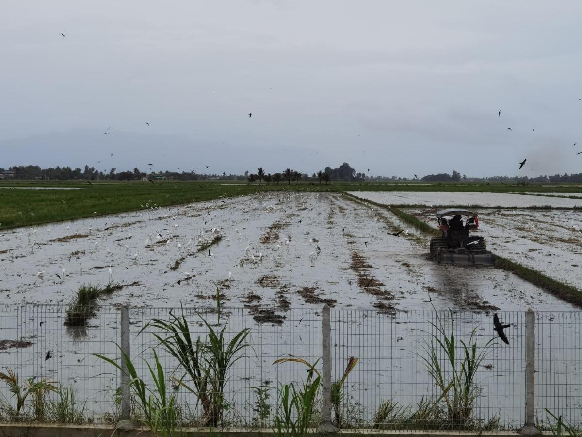 Dangau Sala D'Kontena Alor Setar Luaran gambar