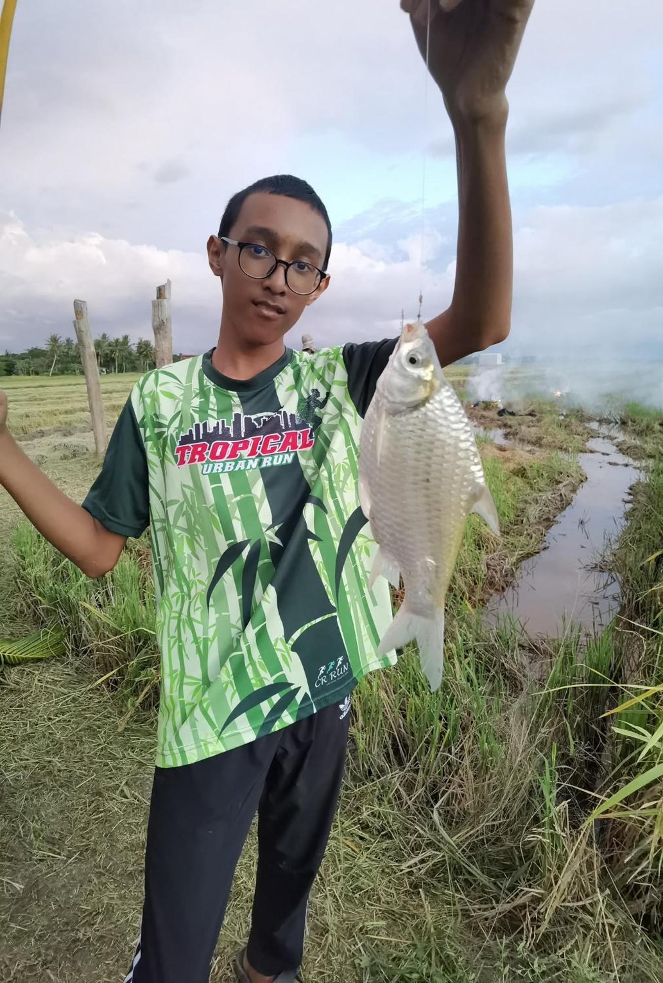 Dangau Sala D'Kontena Alor Setar Luaran gambar